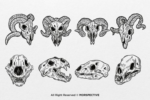 48 Set Bundle Dark Art Skull - Image 7