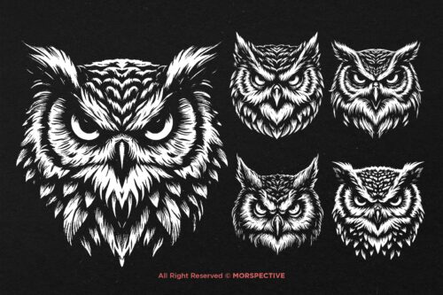 10 Bundle Dark Art Owl Bird Wild - Image 5