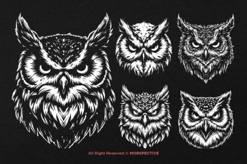 10 Bundle Dark Art Owl Bird Wild - Image 3