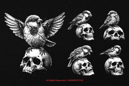 10 Bundle Dark Art Sparrow Bird - Image 3