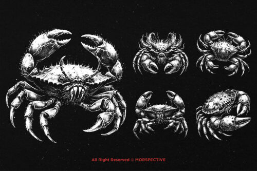 10 Bundle Dark Art Cancer Crabs Zodiac - Image 3