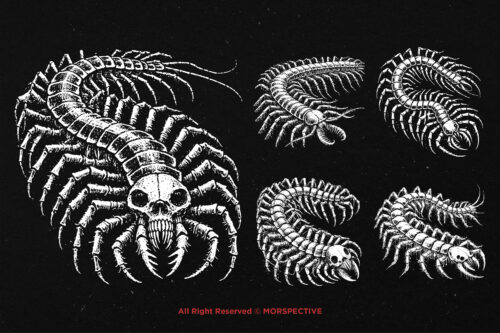 10 Bundle Dark Art Centipede Skull - Image 3