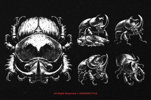 10 Bundle Dark Art Beetle Scarab - Image 5