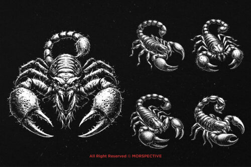 10 Bundle Dark Art Scorpio Zodiac - Image 5