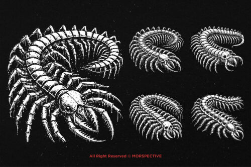 10 Bundle Dark Art Centipede Skull - Image 5
