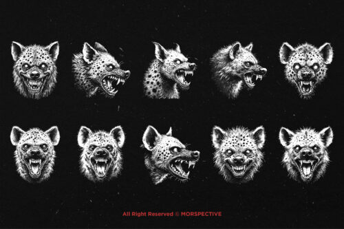 10 Bundle Dark Art Hyena Head - Image 6