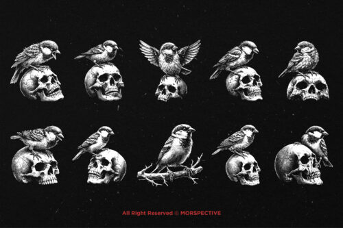 10 Bundle Dark Art Sparrow Bird - Image 6