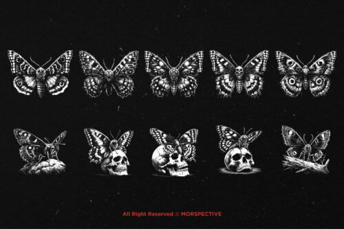 10 Bundle Dark Art Butterfly Insect - Image 6