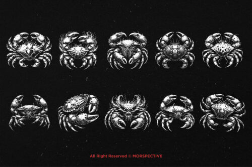 10 Bundle Dark Art Cancer Crabs Zodiac - Image 6