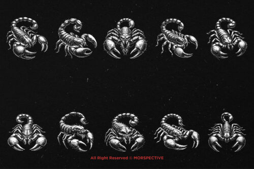 10 Bundle Dark Art Scorpio Zodiac - Image 6