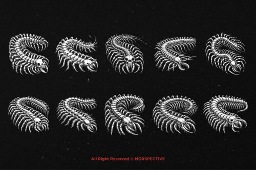 10 Bundle Dark Art Centipede Skull - Image 6