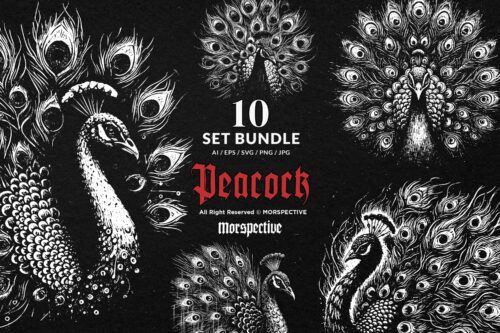 10 Bundle Dark Art Peacock Bird