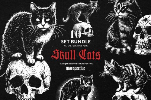 10 Bundle Dark Art Skull Cat Kitten