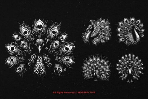 10 Bundle Dark Art Peacock Bird - Image 3