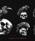 10 Bundle Dark Art Raven Bird Crow - Image 3