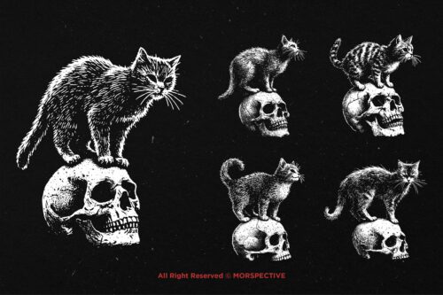 10 Bundle Dark Art Skull Cat Kitten - Image 3