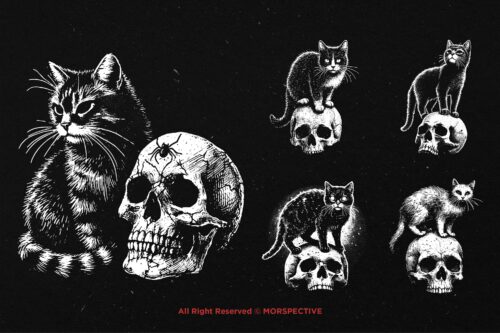 10 Bundle Dark Art Skull Cat Kitten - Image 5