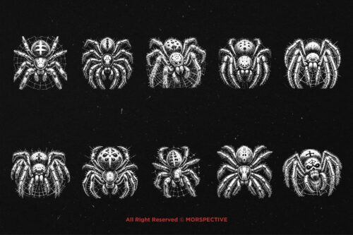 10 Bundle Dark Art Spider Skull Web - Image 6