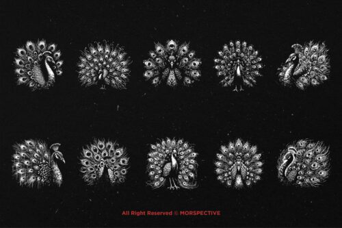 10 Bundle Dark Art Peacock Bird - Image 6