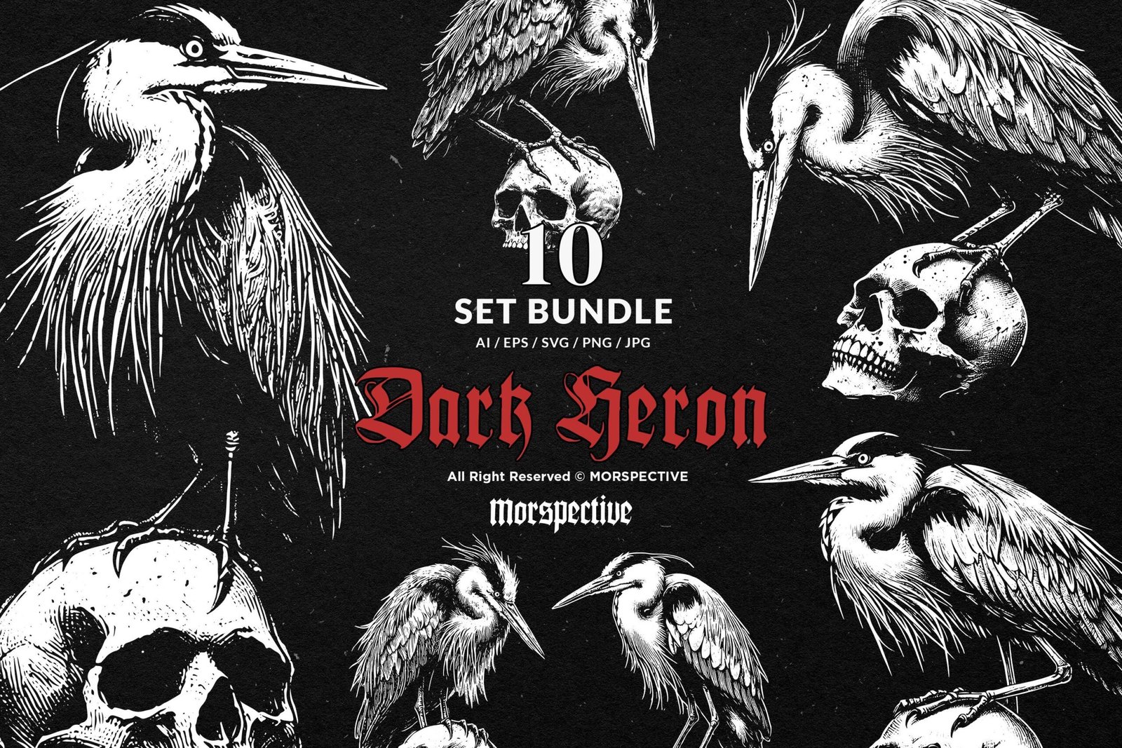 10 Bundle Dark Art Heron Bird Skull 1 10 Bundle Dark Art Heron Bird Skull