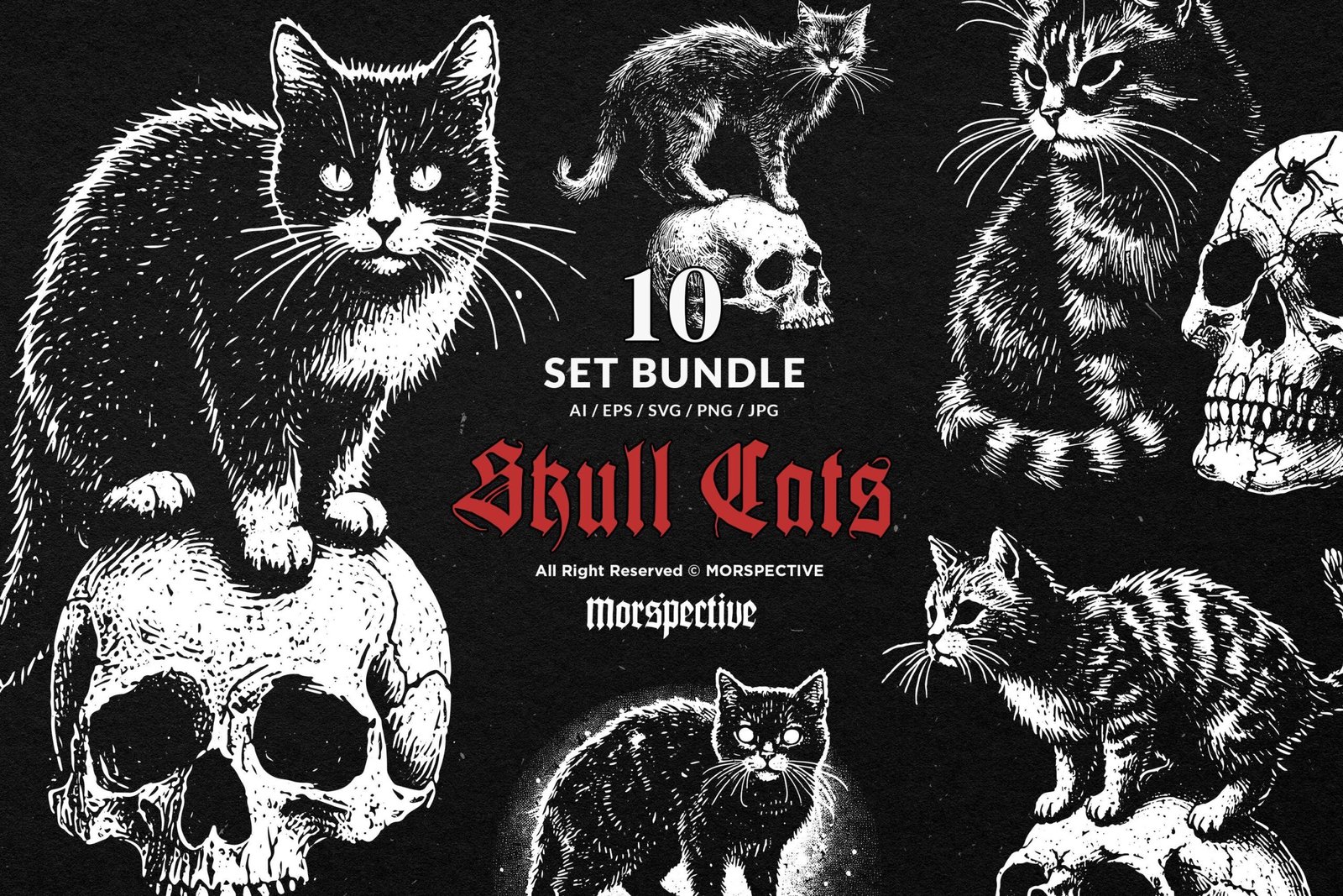 10 Bundle Dark Art Skull Cat 1 10 Bundle Dark Art Skull Cat