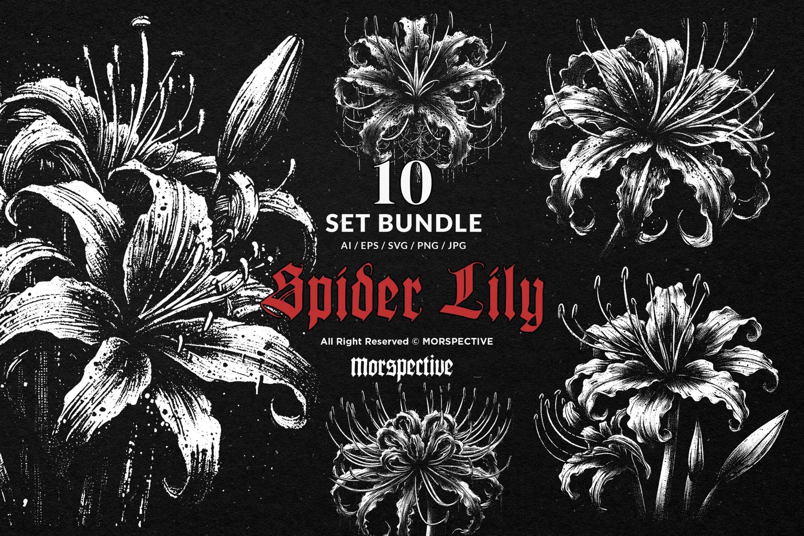 10 Bundle Dark Art Spider Lily Flower 1 10 Bundle Dark Art Spider Lily Flower