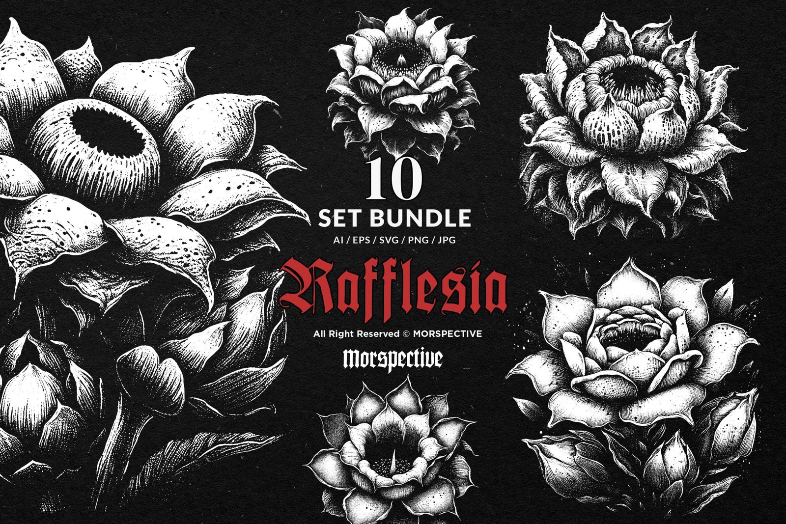 10 Bundle Dark Art Rafflesia 1 10 Bundle Dark Art Rafflesia