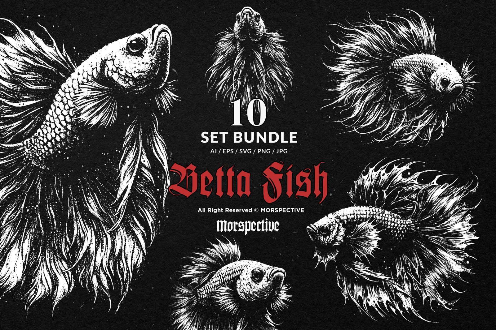 10 Bundle Dark Art Betta Fish 1 10 Bundle Dark Art Betta Fish