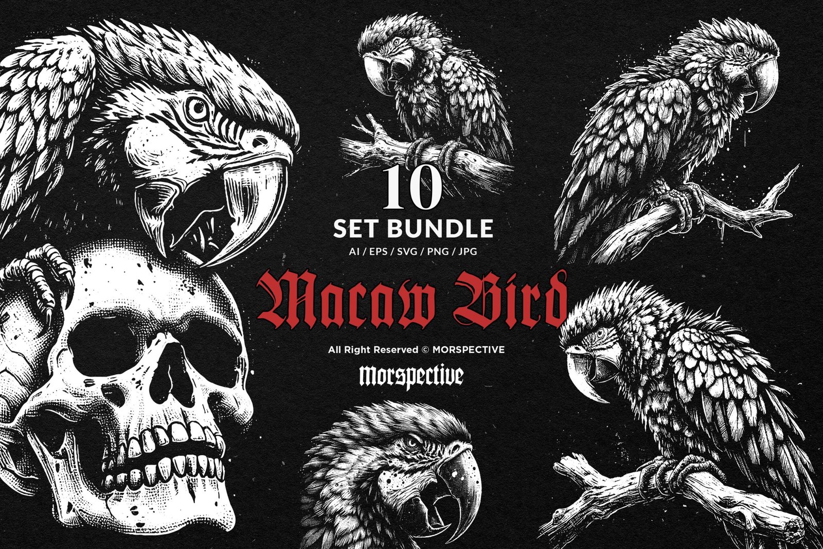10 Bundle Dark Art Macaw Bird 1 10 Bundle Dark Art Macaw Bird