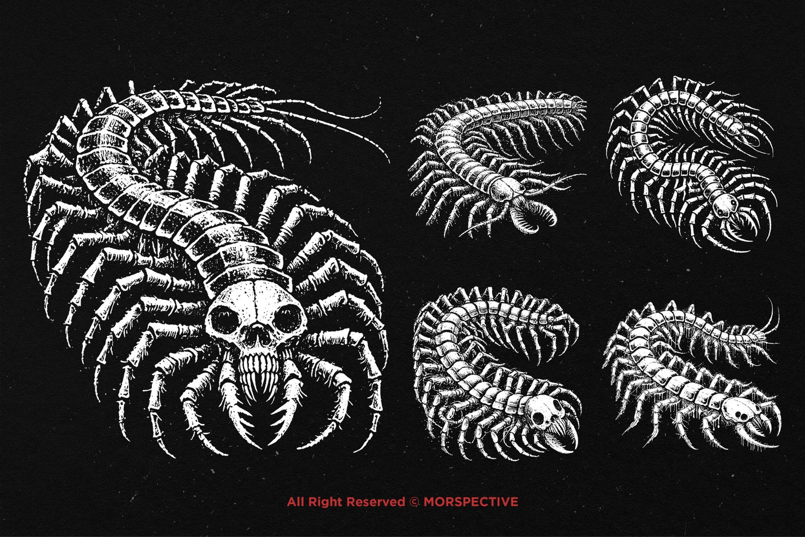 10 Bundle Dark Art Centipede 3 10 Bundle Dark Art Centipede - Image 3