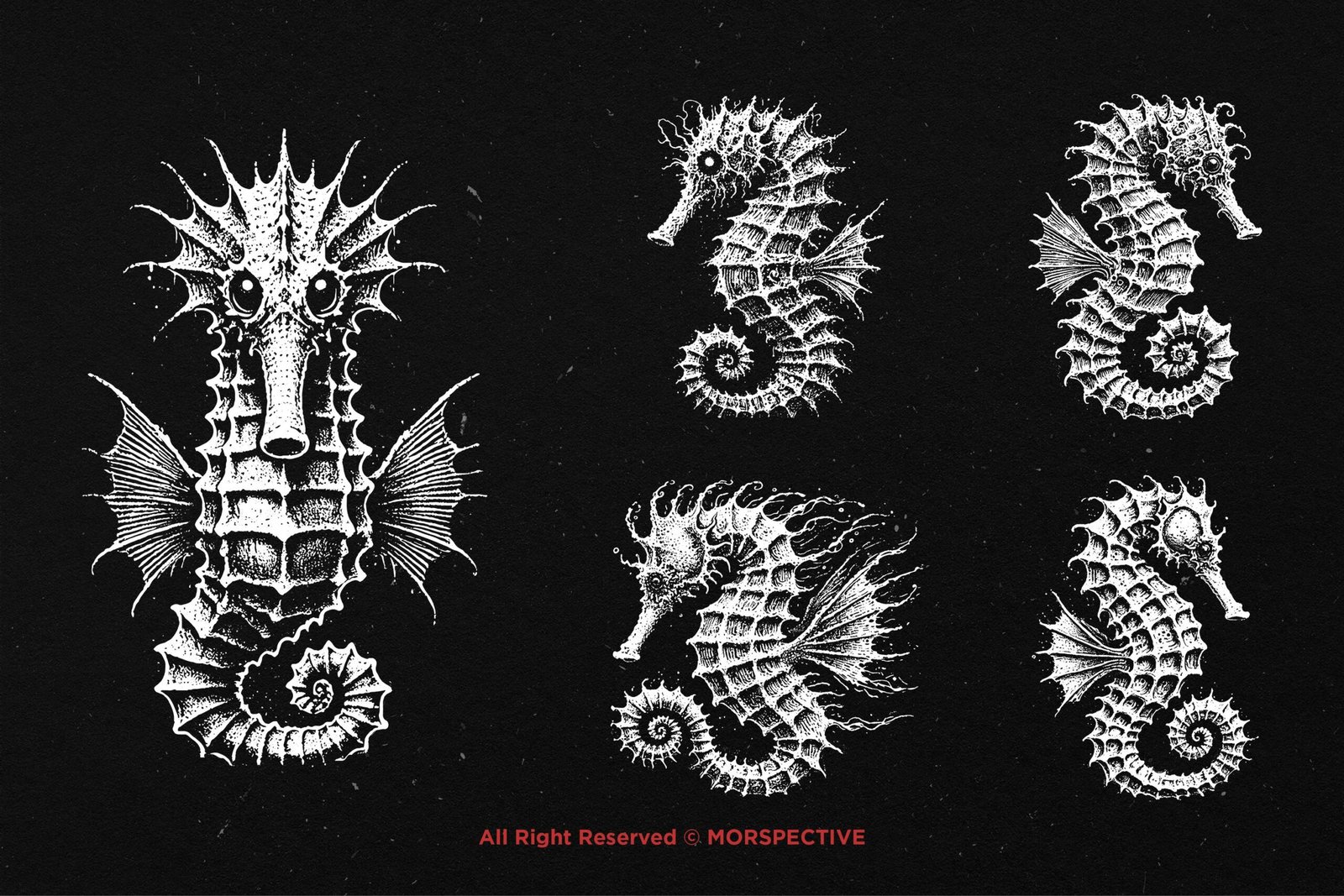 10 Bundle Dark Art Seahorse 3 10 Bundle Dark Art Seahorse - Image 3