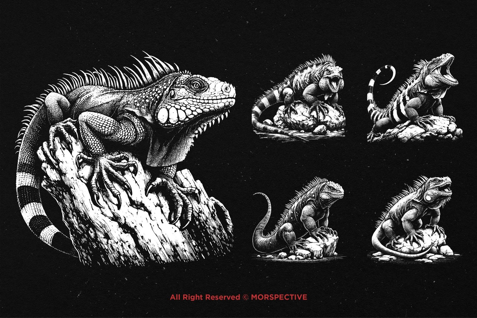 10 Bundle Dark Art Lizard Reptils 3 10 Bundle Dark Art Lizard Reptils - Image 3