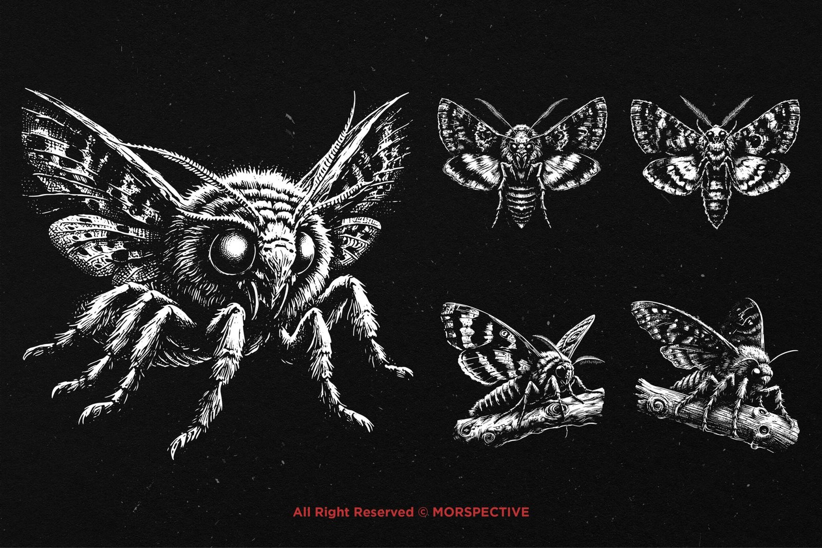 10 Bundle Dark Art Moth 3 10 Bundle Dark Art Moth - Image 3