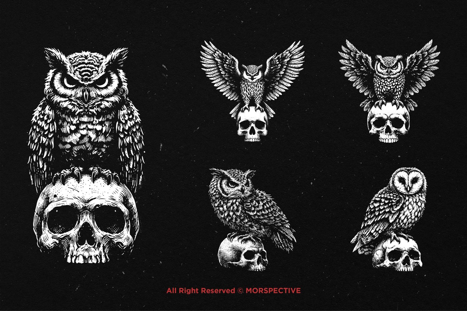 10 Bundle Dark Art Owl Bird Skull 3 10 Bundle Dark Art Owl Bird Skull - Image 3