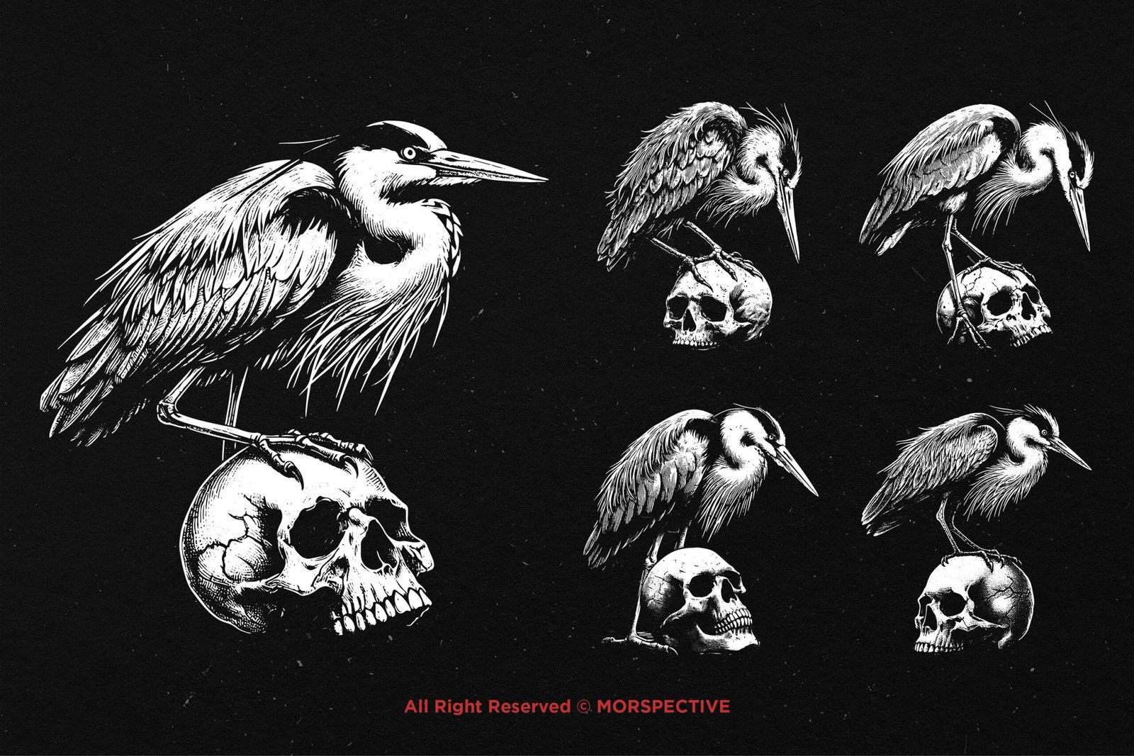 10 Bundle Dark Art Heron Bird Skull 3 10 Bundle Dark Art Heron Bird Skull - Image 3