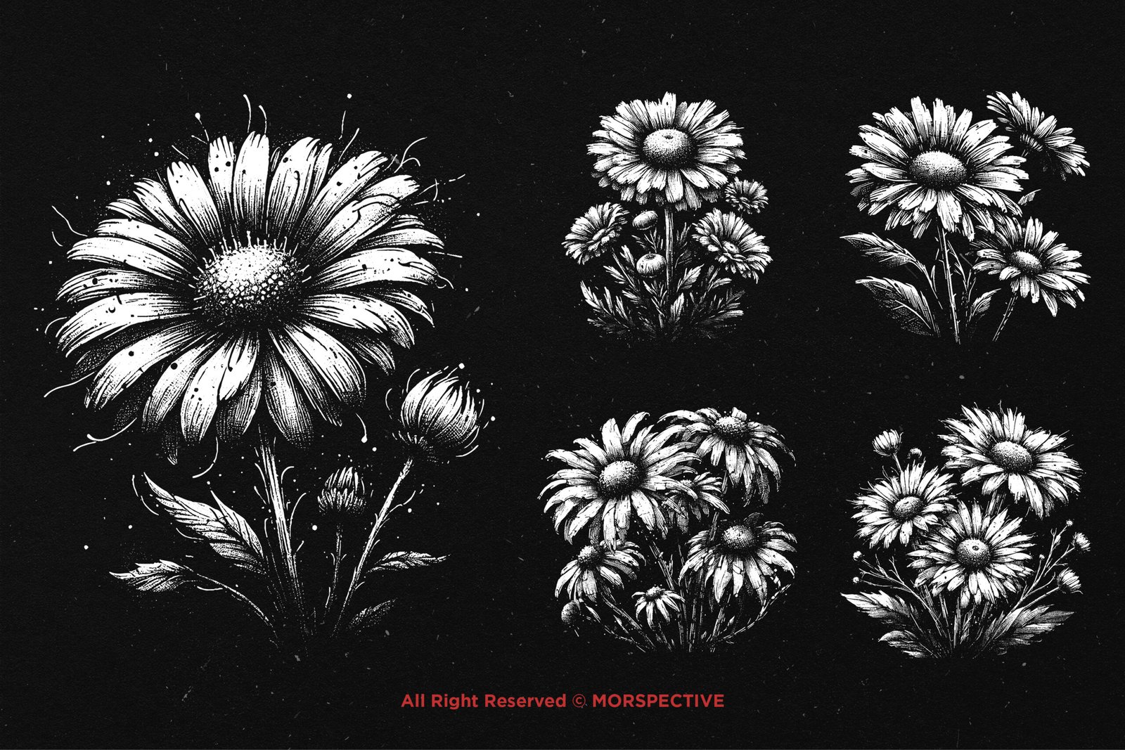 10 Bundle Dark Art Daisy Flower 3 10 Bundle Dark Art Daisy Flower - Image 3