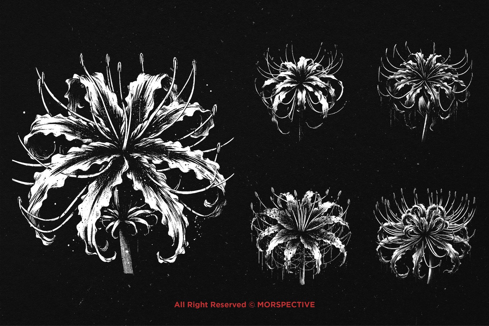 10 Bundle Dark Art Spider Lily Flower 3 10 Bundle Dark Art Spider Lily Flower - Image 3