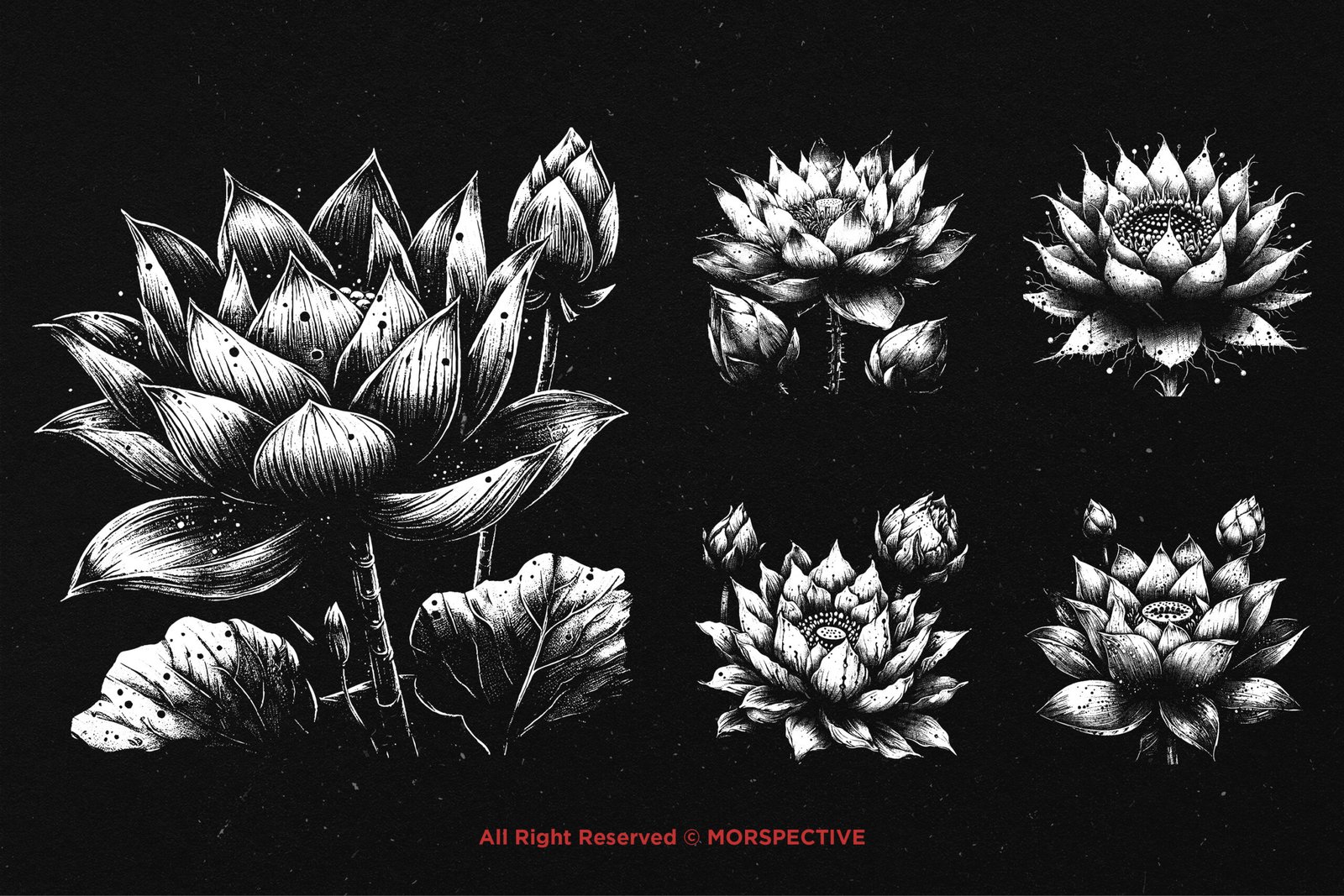 10 Bundle Dark Art Lotus Flower 3 10 Bundle Dark Art Lotus Flower - Image 3