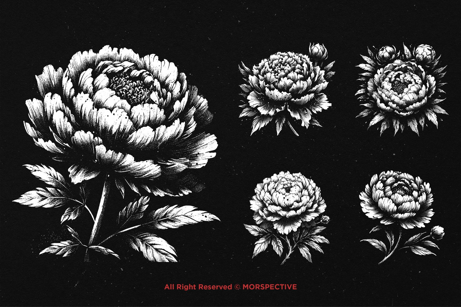 10 Bundle Dark Art Peony Flower 3 10 Bundle Dark Art Peony Flower - Image 3