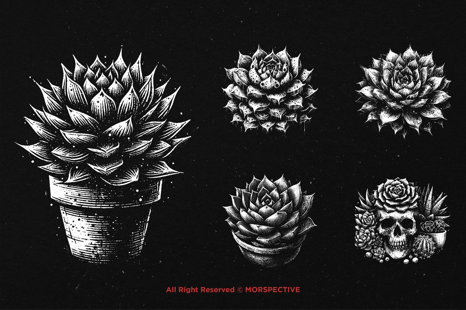 10 Bundle Dark Art Succulent Cactus 3 10 Bundle Dark Art Succulent Cactus - Image 3