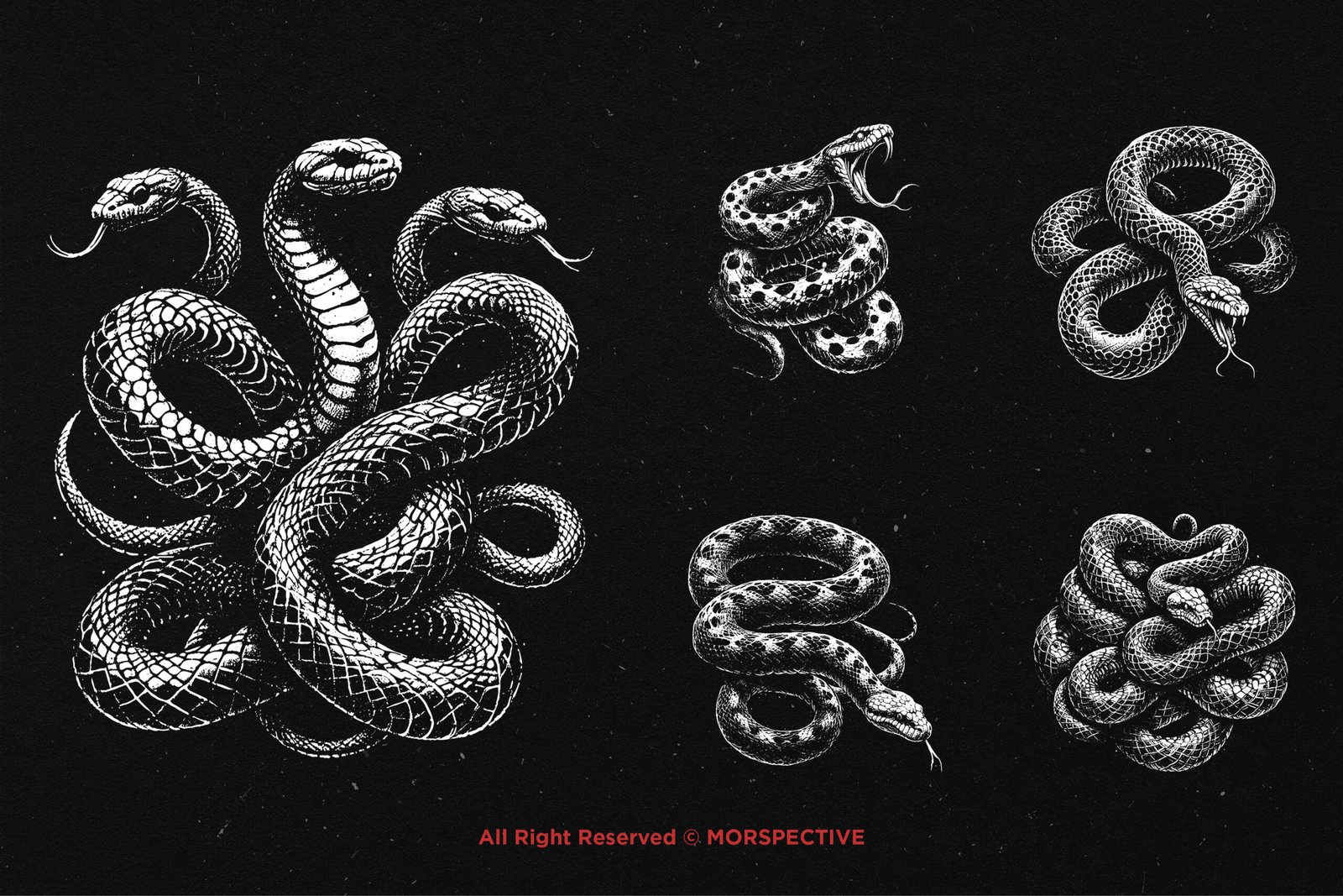 10 Bundle Dark Art Python Snake 3 10 Bundle Dark Art Python Snake - Image 3