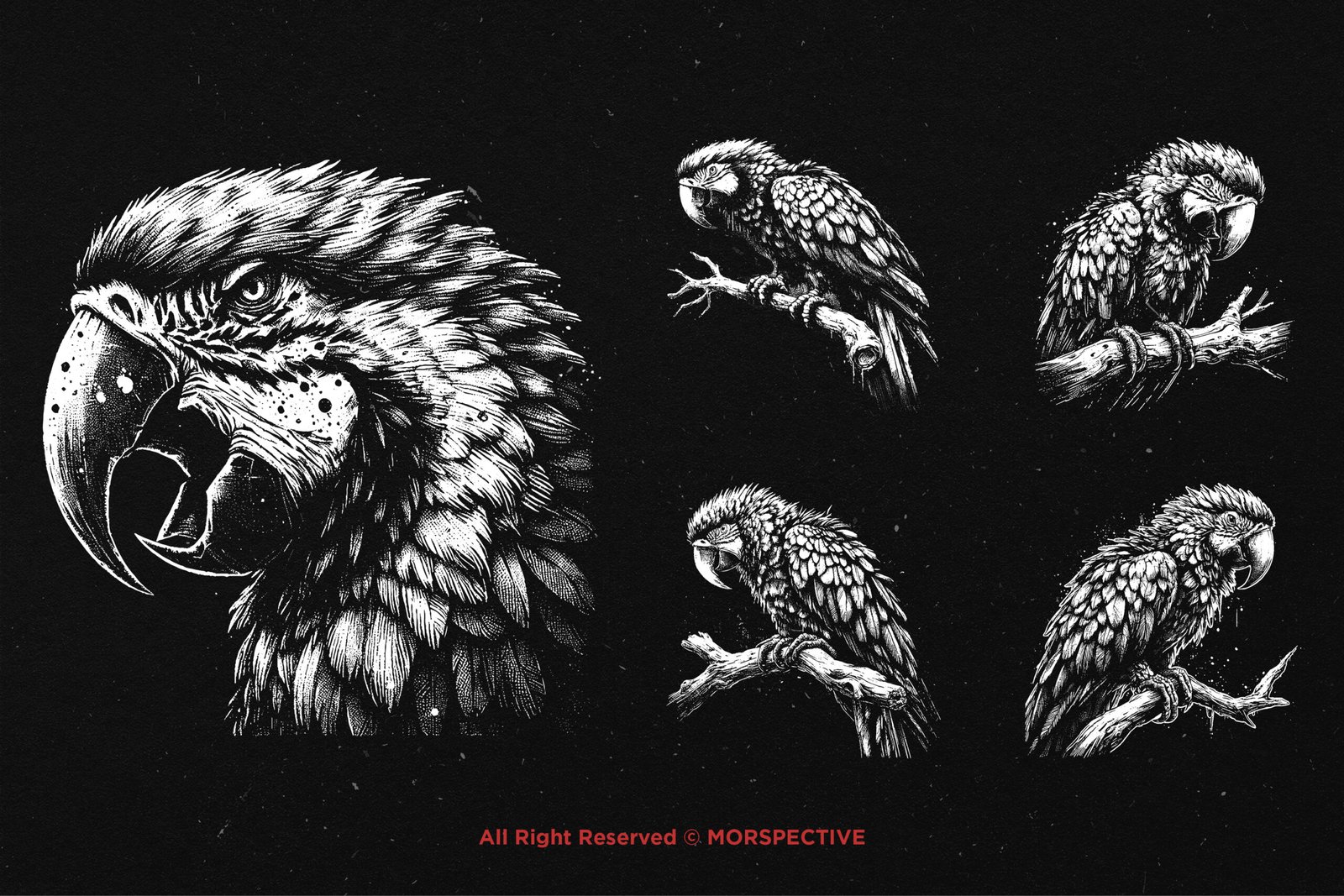 10 Bundle Dark Art Macaw Bird 3 10 Bundle Dark Art Macaw Bird - Image 3