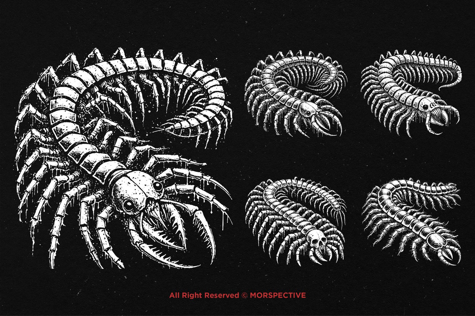 10 Bundle Dark Art Centipede 4 10 Bundle Dark Art Centipede - Image 4