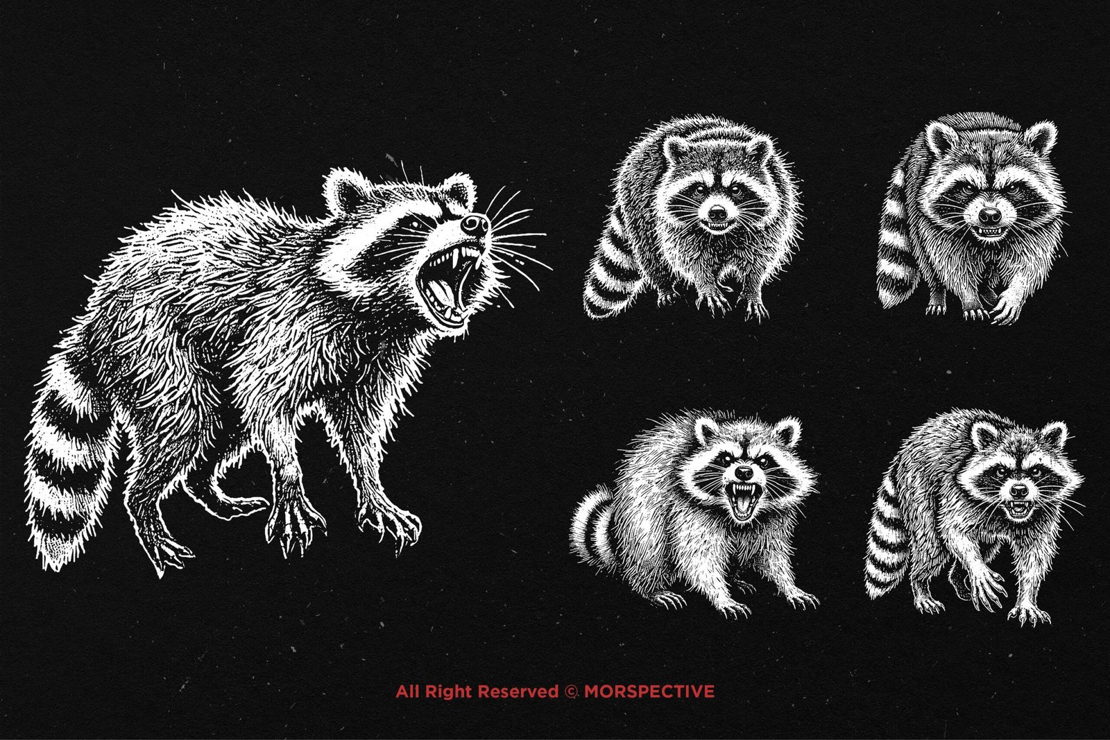10 Bundle Dark Art Racoon 4 10 Bundle Dark Art Racoon - Image 4