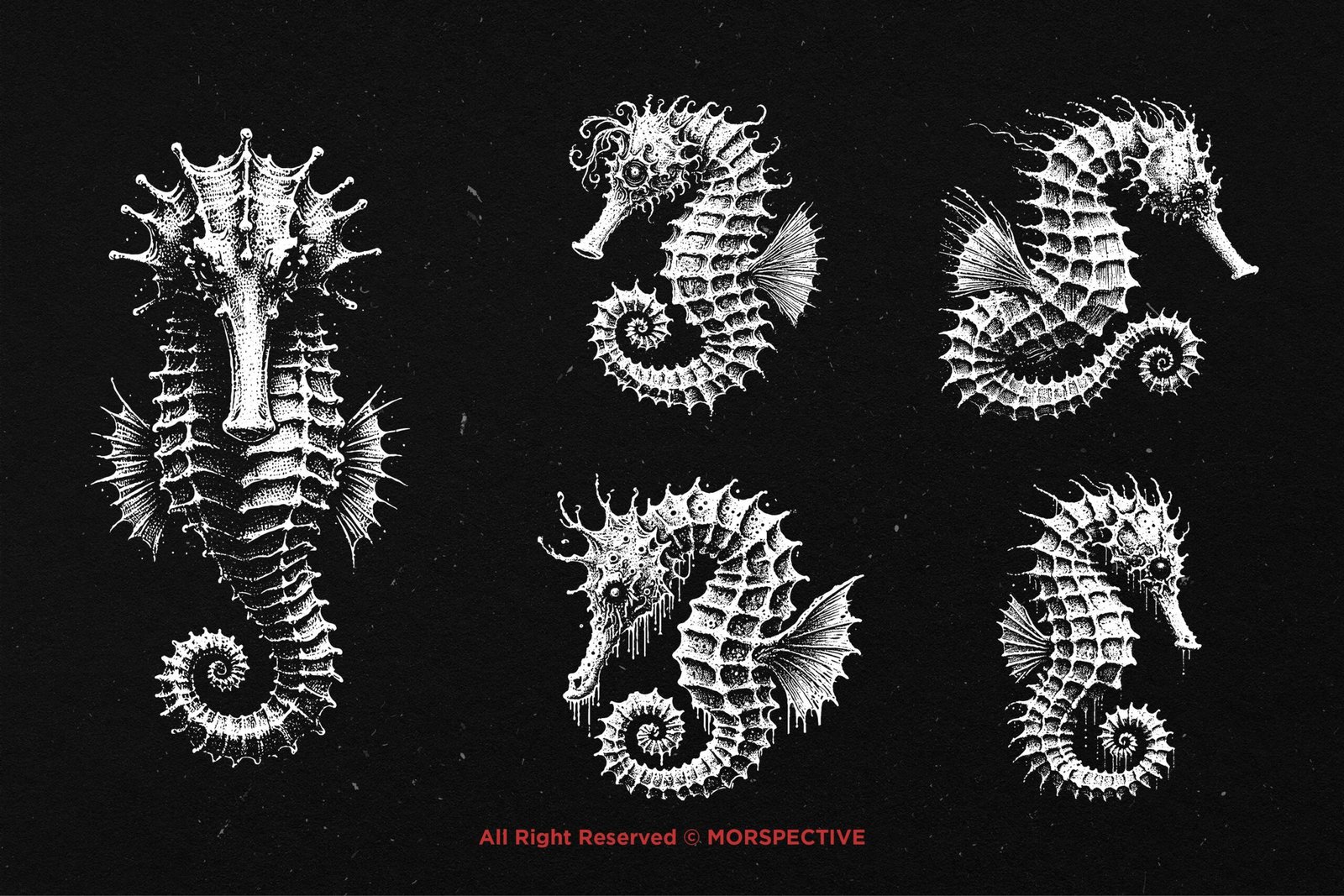 10 Bundle Dark Art Seahorse 4 10 Bundle Dark Art Seahorse - Image 4