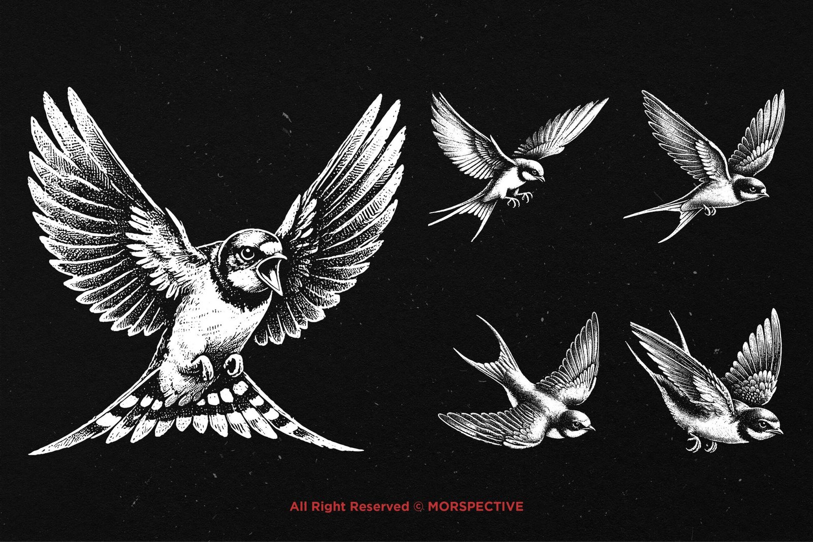 10 Bundle Dark Art Swallow Bird 4 10 Bundle Dark Art Swallow Bird - Image 4