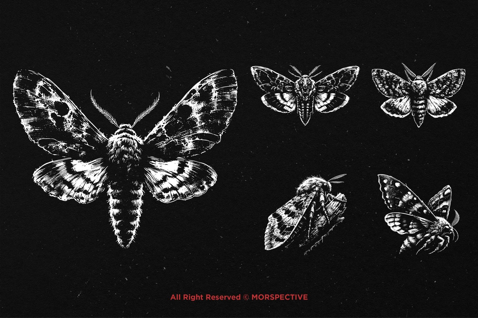 10 Bundle Dark Art Moth 4 10 Bundle Dark Art Moth - Image 4