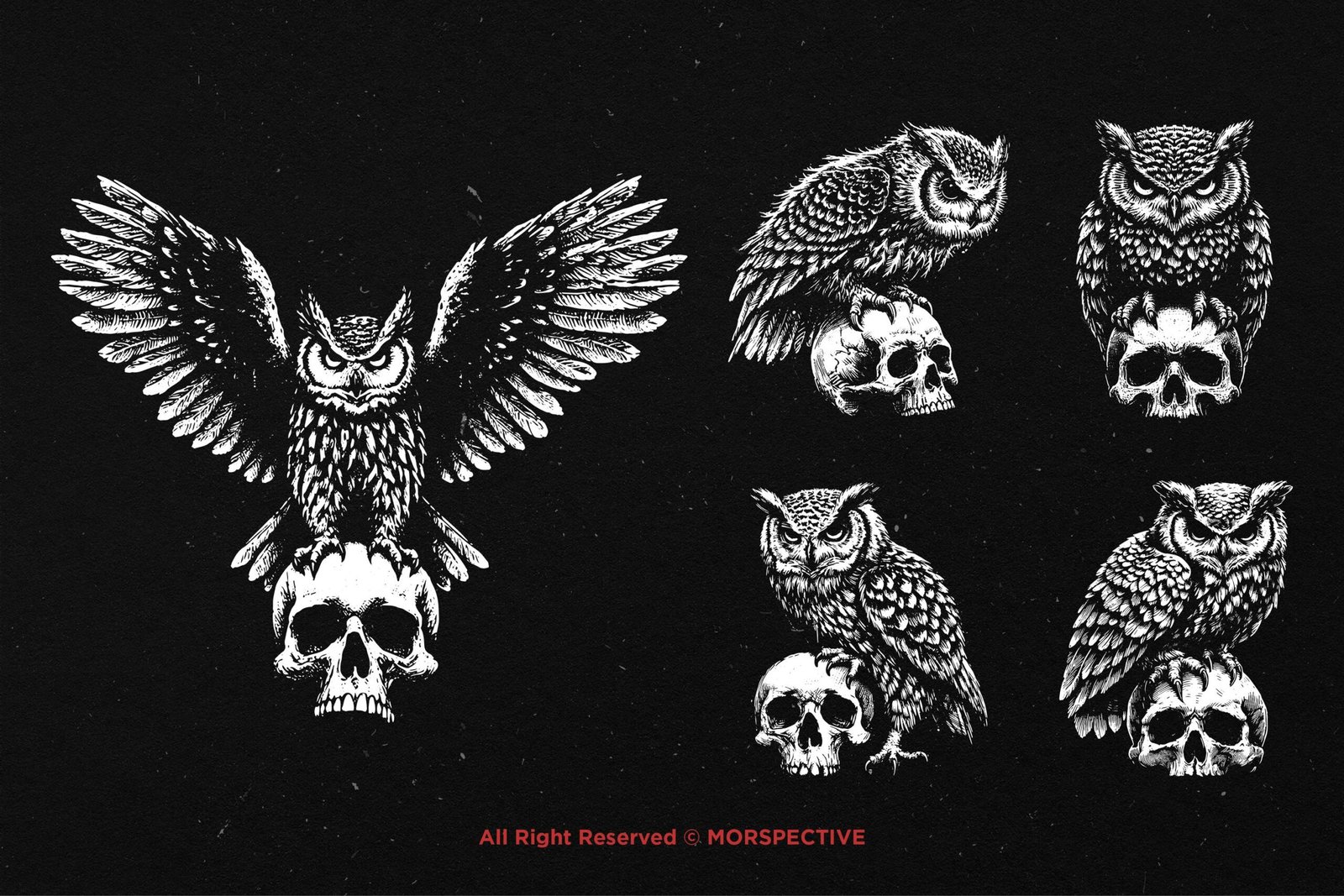 10 Bundle Dark Art Owl Bird Skull 4 10 Bundle Dark Art Owl Bird Skull - Image 4