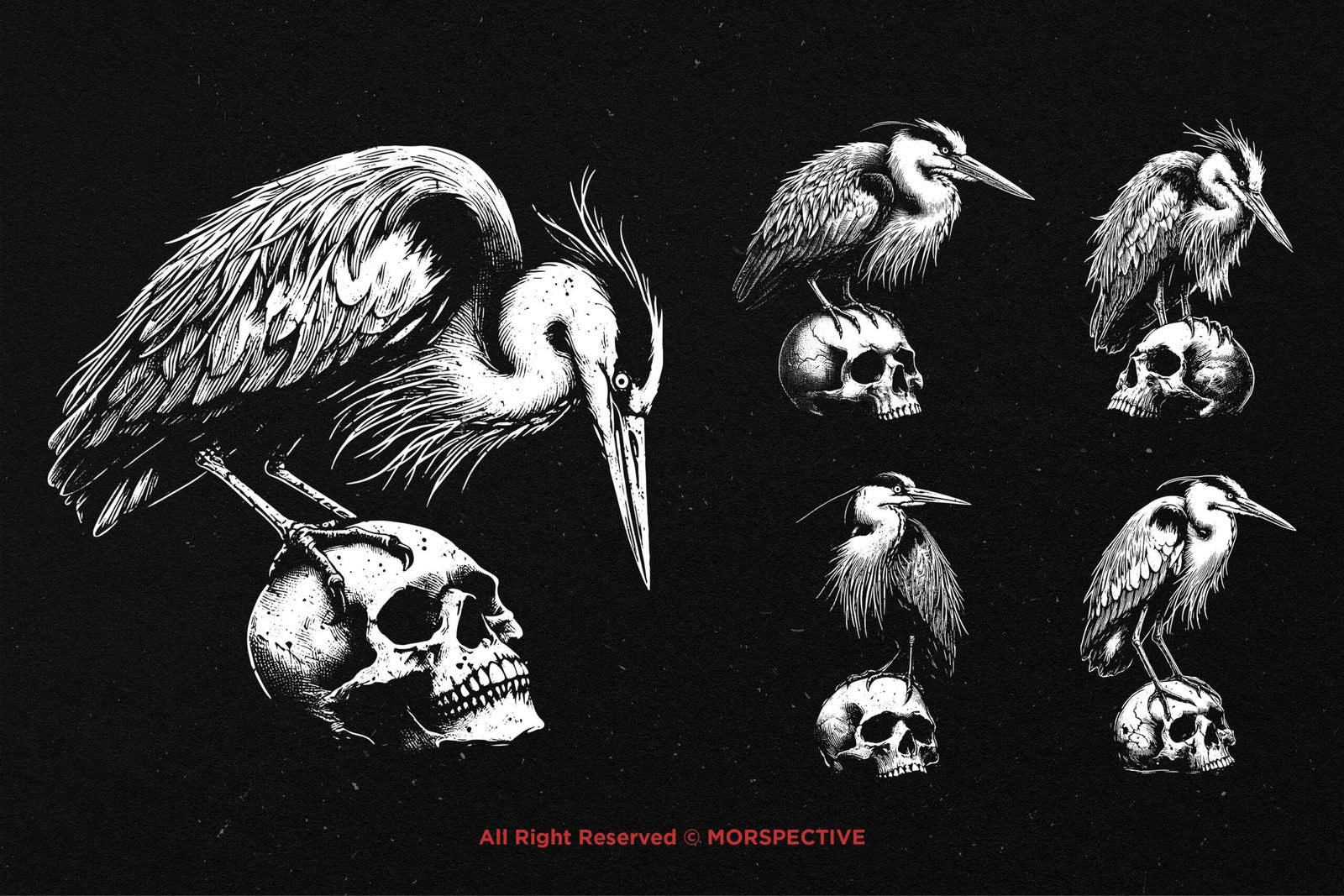 10 Bundle Dark Art Heron Bird Skull 4 10 Bundle Dark Art Heron Bird Skull - Image 4