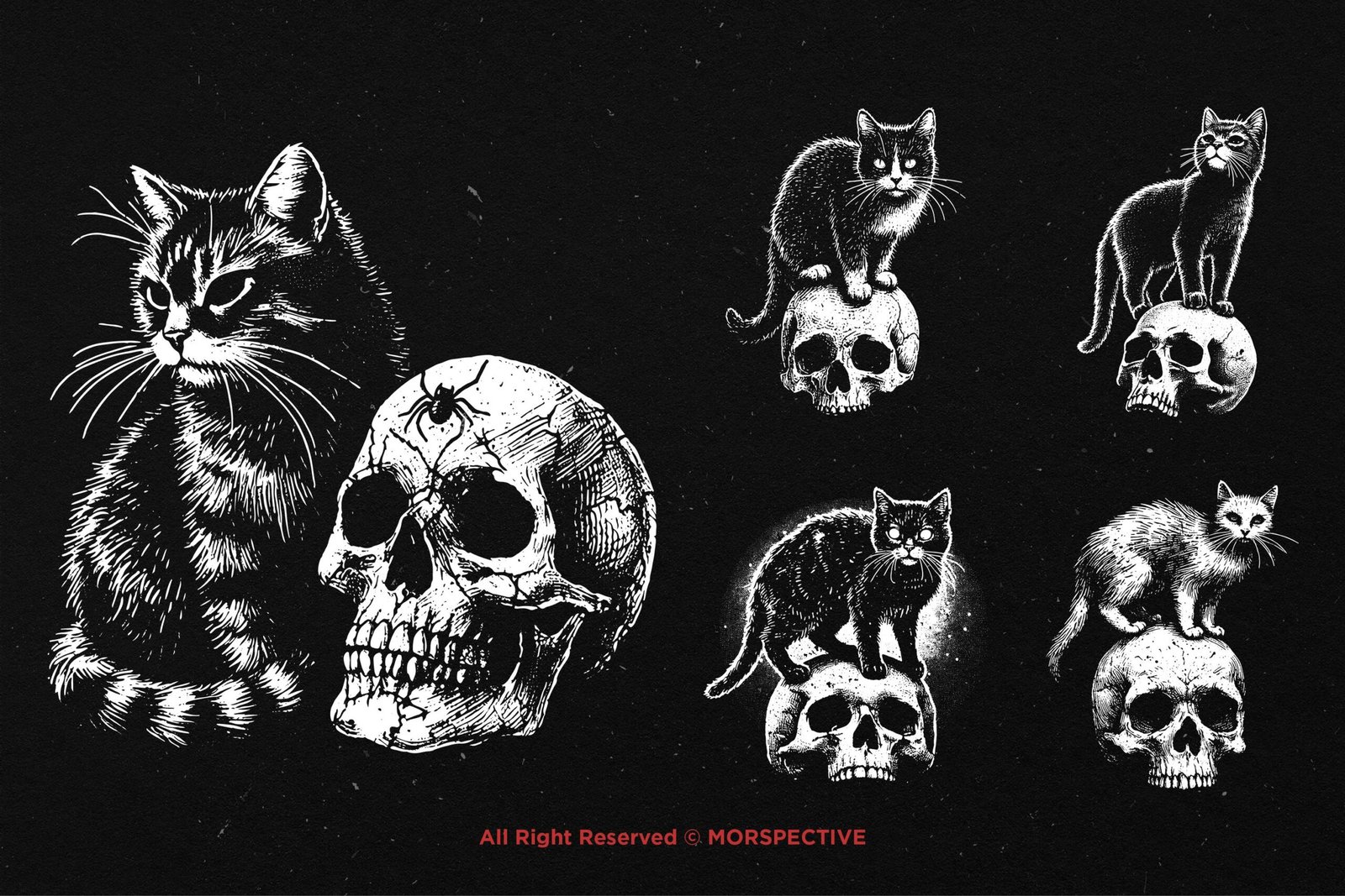 10 Bundle Dark Art Skull Cat 4 10 Bundle Dark Art Skull Cat - Image 4